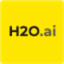 H2O AI official logo - Advanced AI Cloud Platform for AI development, dep...